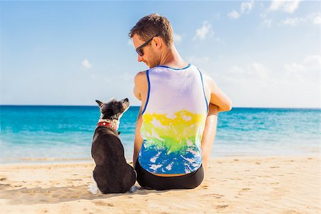 dog and owner sitting close together at the beach on summer vacation holidays Stock Photo - Budget Royalty-Free & Subscription, Code: 400-08158234