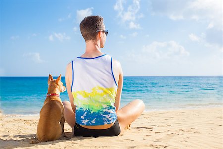 dog and owner sitting close together at the beach on summer vacation holidays, watching sunset or sunrise Stock Photo - Budget Royalty-Free & Subscription, Code: 400-08158235