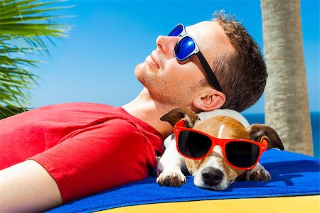 jack russell dog  and owner sunbathing a having a siesta under a palm tree , on summer vacation holidays at the beach Stock Photo - Budget Royalty-Free & Subscription, Code: 400-08158231