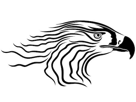 Head of menacing eagle, side view vector artwork Stock Photo - Budget Royalty-Free & Subscription, Code: 400-08159532