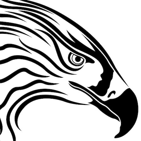 Head of eagle with massive beak, side view vector artwork Stock Photo - Budget Royalty-Free & Subscription, Code: 400-08159533