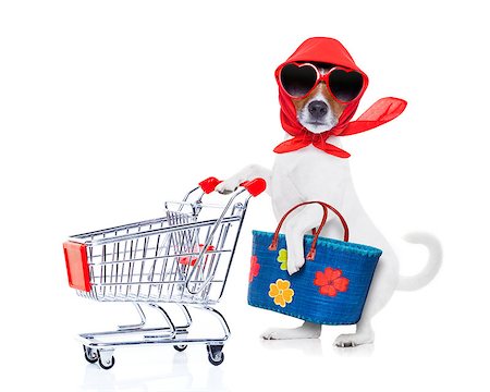 simsearch:400-08735204,k - crazy and silly  jack russell dog diva lady with bag pushing  empty supermarket cart , isolated on white background Stock Photo - Budget Royalty-Free & Subscription, Code: 400-08151265
