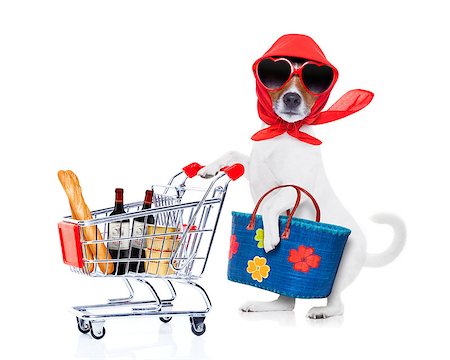 simsearch:400-08735204,k - crazy and silly  jack russell dog diva lady with bag pushing  full of products supermarket cart , isolated on white background Stock Photo - Budget Royalty-Free & Subscription, Code: 400-08151266