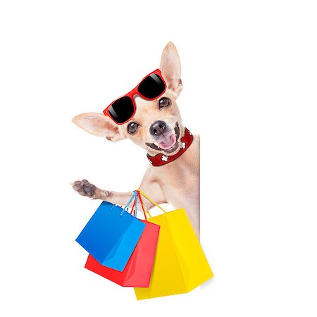 simsearch:400-08151278,k - chihuahua  dog with a bunch of shopping bags ready to buy everything on sale and with discount, isolated on white background Photographie de stock - Aubaine LD & Abonnement, Code: 400-08151276
