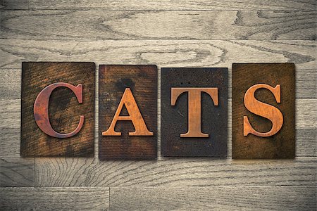 simsearch:400-08152413,k - The word "CATS" theme written in vintage, ink stained, wooden letterpress type on a wood grained background. Foto de stock - Super Valor sin royalties y Suscripción, Código: 400-08152386