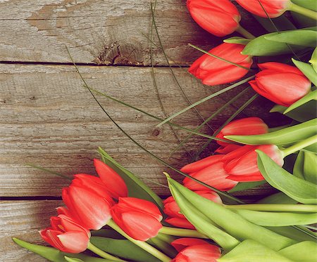 simsearch:400-08011307,k - Corner Frame of Beautiful Spring Red Tulips with Green Grass isolated on Rustic Wooden background. Retro Styled Stock Photo - Budget Royalty-Free & Subscription, Code: 400-08153452