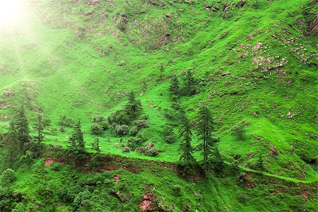 simsearch:400-07682483,k - Beautiful landscape in Himalayas mountains, Annapurna area. Photographie de stock - Aubaine LD & Abonnement, Code: 400-08153568