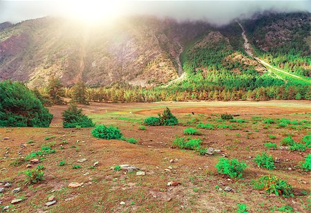 simsearch:877-08128144,k - Beautiful landscape in Himalayas mountains, Annapurna area. Photographie de stock - Aubaine LD & Abonnement, Code: 400-08153572