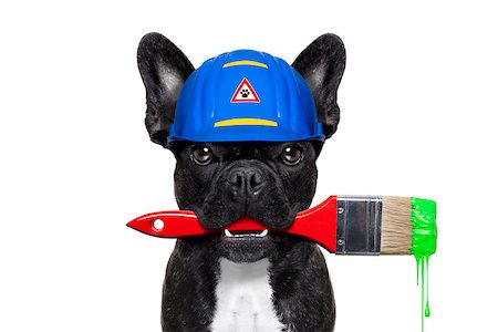 simsearch:400-08054637,k - handyman painter dog worker with paintbrush  and  ready to repair, fix or paint everything at home, isolated on white background Stock Photo - Budget Royalty-Free & Subscription, Code: 400-08164268