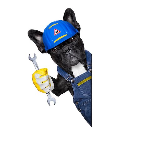 dog like person - handyman dog worker with helmet  behind blank white banner , wrench in hand ,ready to repair, fix everything at home, isolated on white background Stock Photo - Budget Royalty-Free & Subscription, Code: 400-08164263