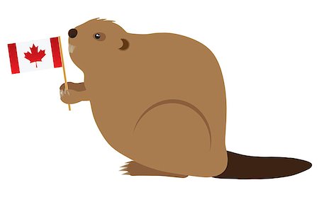 simsearch:400-07990271,k - The Canadian Beaver Holding Canada Flag Color Illustration Photographie de stock - Aubaine LD & Abonnement, Code: 400-08164630