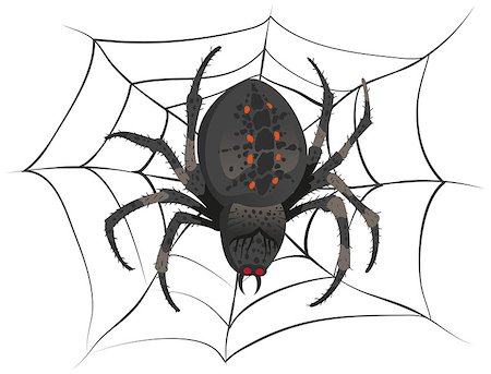 simsearch:400-08200203,k - Black big scary spider sitting center of web. Poison spider. Illustration in vector format Stock Photo - Budget Royalty-Free & Subscription, Code: 400-08166714
