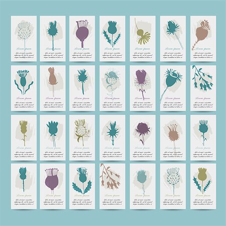 Agrimony plants collection on cards, sketch for your design. vector illustration Stock Photo - Budget Royalty-Free & Subscription, Code: 400-08166775