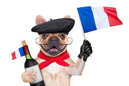 simsearch:400-06927182,k - french bulldog with red wine and  beret hat, isolated on white background, waving a flag of france Stockbilder - Microstock & Abonnement, Bildnummer: 400-08160200