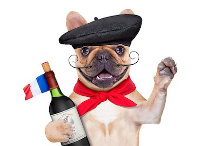 simsearch:400-06927182,k - french bulldog with red wine and  beret hat, isolated on white background, waving paw or high five Stockbilder - Microstock & Abonnement, Bildnummer: 400-08160201