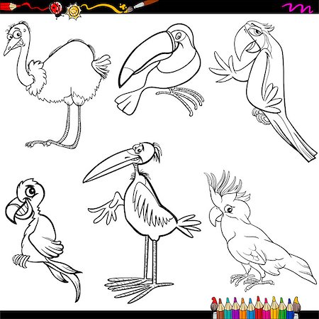 simsearch:400-08674472,k - Coloring Book Cartoon Illustration of Funny Birds Characters Set Stock Photo - Budget Royalty-Free & Subscription, Code: 400-08160260