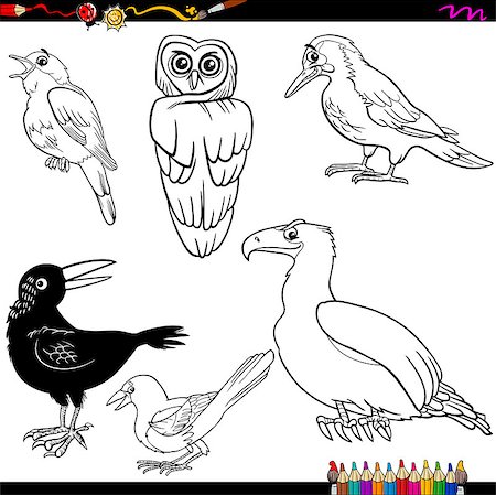 drawing eagle clipart - Coloring Book Cartoon Illustration of Funny Birds Characters Set Stock Photo - Budget Royalty-Free & Subscription, Code: 400-08160262