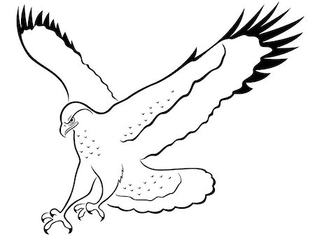 falcon bird symbol wings - Hawk with wide wings outstretched during the attack, cartoon vector outline Stock Photo - Budget Royalty-Free & Subscription, Code: 400-08160527