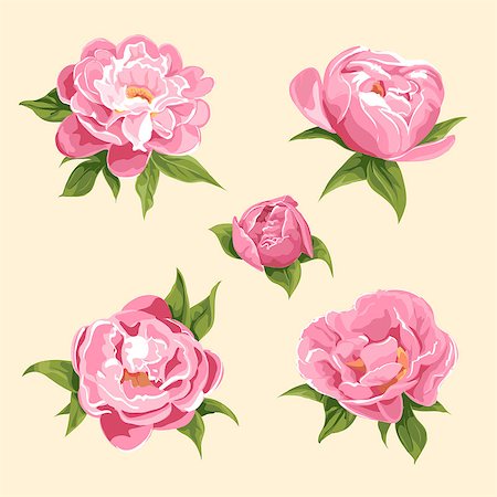 simsearch:400-07427493,k - floral background of bright peonies Foto de stock - Royalty-Free Super Valor e Assinatura, Número: 400-08160996