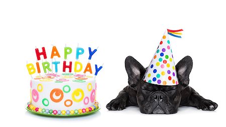 french bulldog with  happy birthday cake and candles ,a  party hat  ,eyes closed , isolated on white background Stock Photo - Budget Royalty-Free & Subscription, Code: 400-08161191