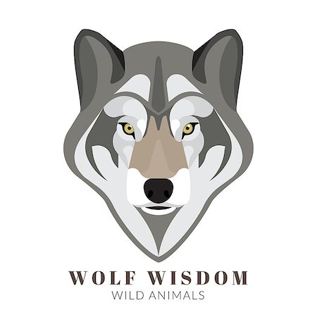 Graphic design of cute grey wolf head. Text outlined Photographie de stock - Aubaine LD & Abonnement, Code: 400-08161783