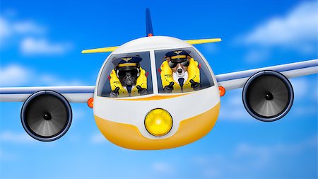 pilot and copilot dogs in cockpit cabin flying , landing or departing  for a summer vacation holiday  with funny airplane Stock Photo - Budget Royalty-Free & Subscription, Code: 400-08162259