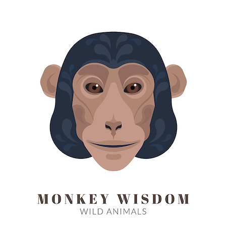 simsearch:400-08199902,k - Graphic design of monkey head with decorative ornaments Stock Photo - Budget Royalty-Free & Subscription, Code: 400-08162341