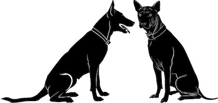 retriever silhouette - dog Stock Photo - Budget Royalty-Free & Subscription, Code: 400-08162708