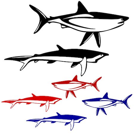 simsearch:400-08553170,k - Set shark,  black and white outline. Vector illustration. Stock Photo - Budget Royalty-Free & Subscription, Code: 400-08162801
