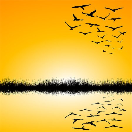 simsearch:400-04725012,k - Landscape with a lake and birds flying at sunset Stock Photo - Budget Royalty-Free & Subscription, Code: 400-08163051