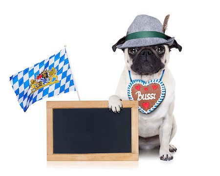 simsearch:400-08155906,k - pug dog dressed up as bavarian with gingerbread as collar, isolated on white background, holding a blank empty blackboard or banner  with a bavaria flag Stock Photo - Budget Royalty-Free & Subscription, Code: 400-08163214