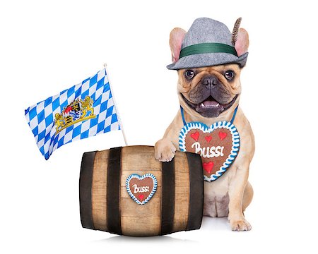 simsearch:400-08163219,k - bavarian german french bulldog  dog behind beer barrel and  bavarian flags, isolated on white background Photographie de stock - Aubaine LD & Abonnement, Code: 400-08163218