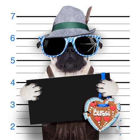 simsearch:400-08898663,k - mugshot bavarian dog with an empty blank banner and ginger bread heart from beer fest Photographie de stock - Aubaine LD & Abonnement, Code: 400-08163220