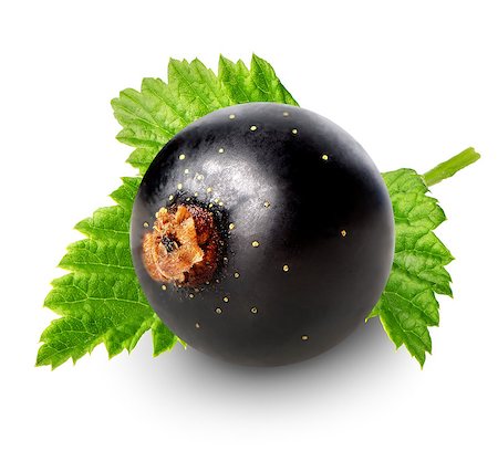 simsearch:400-04423672,k - Berry of black currant isolated on white Stockbilder - Microstock & Abonnement, Bildnummer: 400-08163427