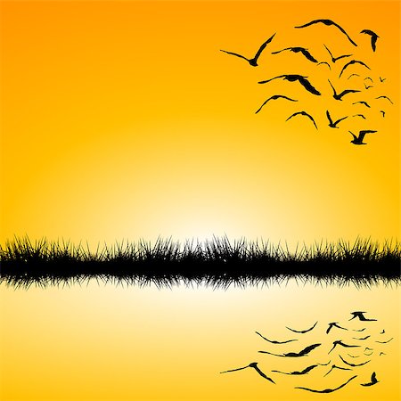simsearch:400-04725012,k - Landscape with a lake and birds flying at sunset Stock Photo - Budget Royalty-Free & Subscription, Code: 400-08163584