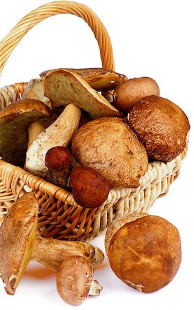 simsearch:400-08011809,k - Fresh Raw Ripe Porcini Mushrooms, Orange-Cap Boletus and Peppery Bolete in Wicker Basket closeup on white background Photographie de stock - Aubaine LD & Abonnement, Code: 400-08163711