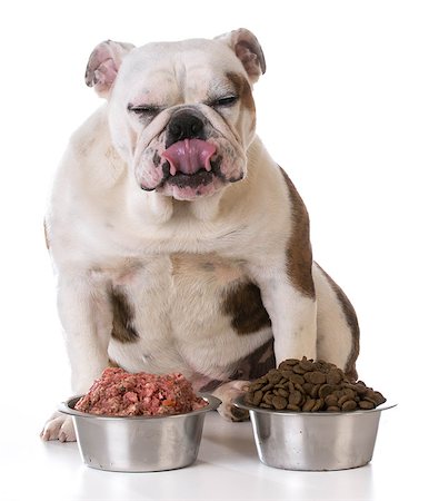 simsearch:400-05181259,k - feeding your pet - concept of choosing between raw and kibble Foto de stock - Super Valor sin royalties y Suscripción, Código: 400-08186144