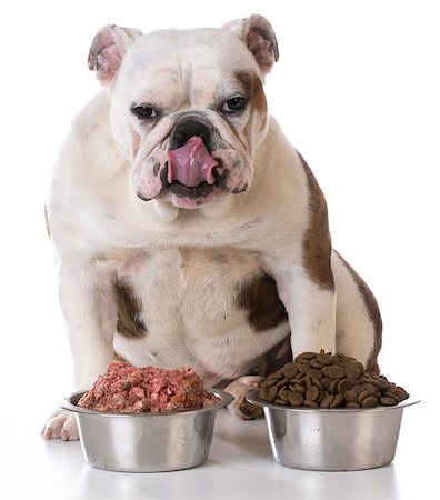 simsearch:400-05181259,k - feeding your pet - concept of choosing between raw and kibble Foto de stock - Super Valor sin royalties y Suscripción, Código: 400-08186145