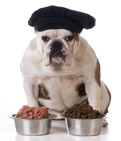 simsearch:400-05181259,k - feeding your pet - concept of choosing between raw and kibble Foto de stock - Super Valor sin royalties y Suscripción, Código: 400-08186143