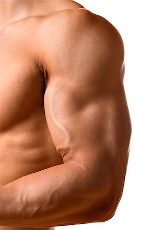 Biceps muscle of a young athletic man Stock Photo - Budget Royalty-Free & Subscription, Code: 400-08186304