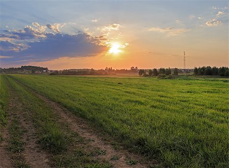 simsearch:400-07189007,k - The road through the meadow with green grass. Sunset in the countryside. Fotografie stock - Microstock e Abbonamento, Codice: 400-08186457