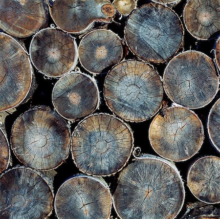 simsearch:400-08110547,k - Pile of wood logs ready for winter close-up texture Stock Photo - Budget Royalty-Free & Subscription, Code: 400-08187527