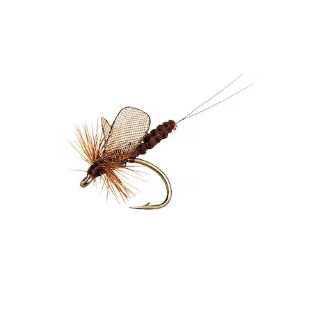 Fly fishing lure isolated on white background Stock Photo - Budget Royalty-Free & Subscription, Code: 400-08187539