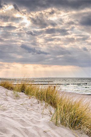 spooky night sky - Picture of the coast of the Baltic Sea on a stormy day with dune grass and dark clouds in the evening Stock Photo - Budget Royalty-Free & Subscription, Code: 400-08187815