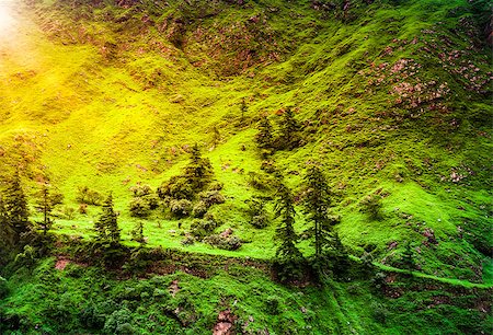 simsearch:400-07682483,k - Beautiful landscape in Himalayas mountains, Annapurna area. Photographie de stock - Aubaine LD & Abonnement, Code: 400-08187886
