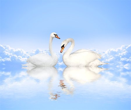 simsearch:400-05232970,k - Mute swan on blue water and background with clouds Photographie de stock - Aubaine LD & Abonnement, Code: 400-08188460