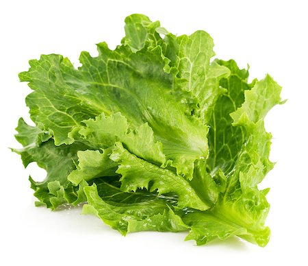 simsearch:400-08375763,k - Leaf fresh lettuce. Isolated on white background Stock Photo - Budget Royalty-Free & Subscription, Code: 400-08188667