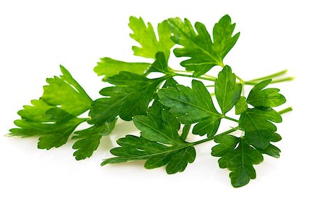 Bunch fresh parsley. Isolated on white background Stock Photo - Budget Royalty-Free & Subscription, Code: 400-08188776