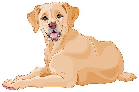 simsearch:400-08198192,k - Illustration of cute Labrador Photographie de stock - Aubaine LD & Abonnement, Code: 400-08195732