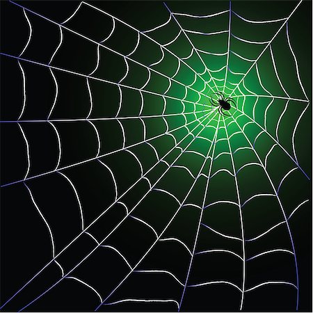 simsearch:400-08200203,k - Spider web with spider over blackgreen background design Stock Photo - Budget Royalty-Free & Subscription, Code: 400-08195892